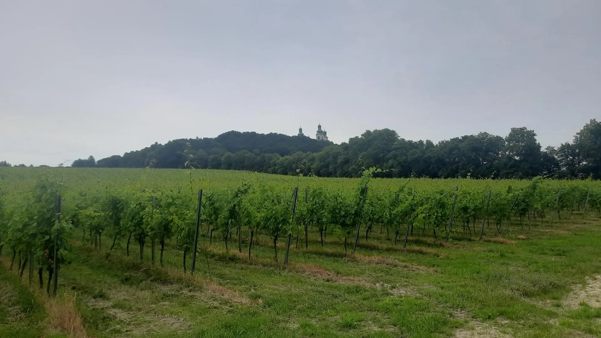 Apartamenty Krakow-Bielany 0*, Krakow Poland